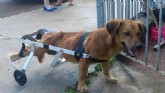 Foto: Reprodução Facebook