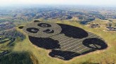 Panda gigante é a nova atração na China /PNUD/Divulgação