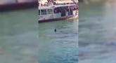 Reprodução/Youtube