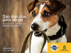 Foto: Divulgação Pedigree.